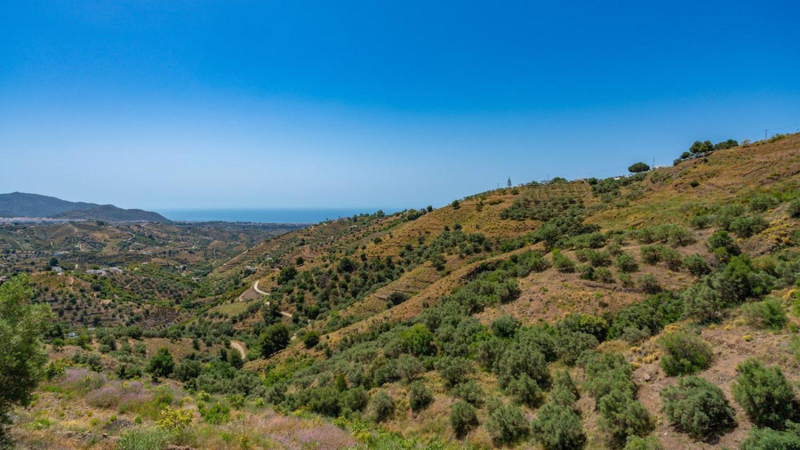 Cortijo El Mirador Frigiliana By Ruralidays Villa Eksteriør bilde